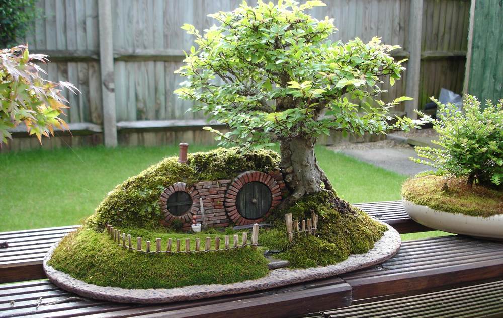 Bonsai de Bolsón Cerrado