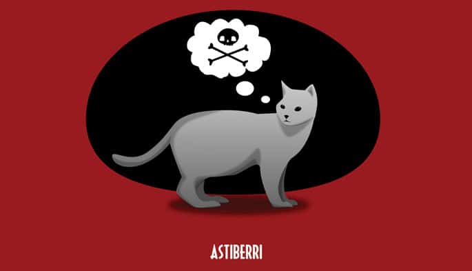 como-saber-si-tu-gato-planea-matarte